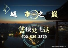 是为合做区和澳门量身定制的办法